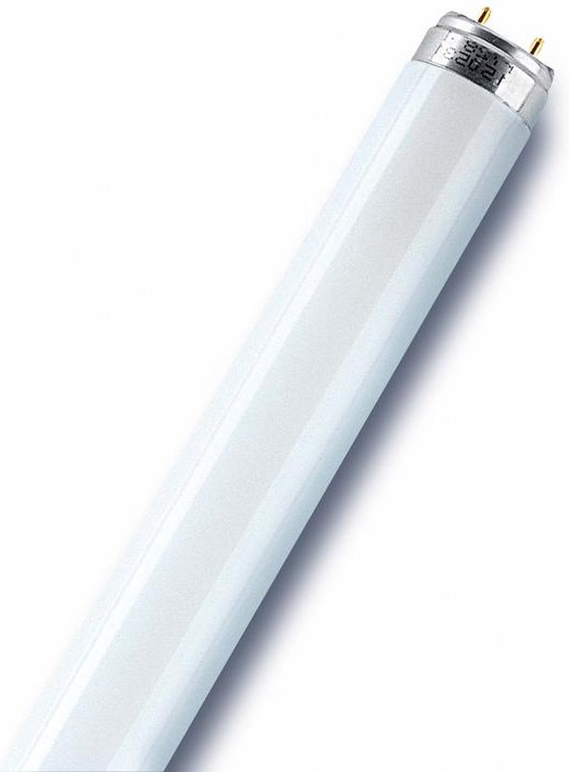 Лампа L 18W/640 G13 Osram